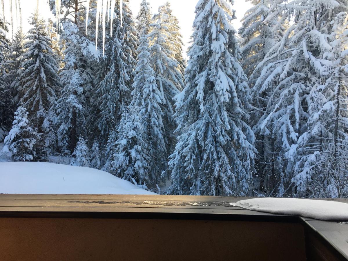 Borovets Chalets Экстерьер фото