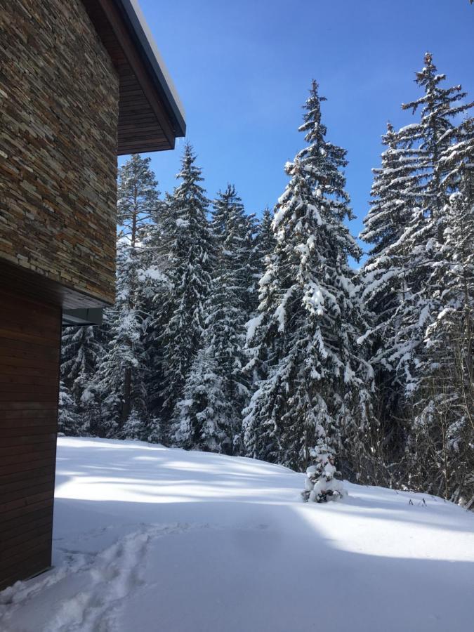 Borovets Chalets Экстерьер фото