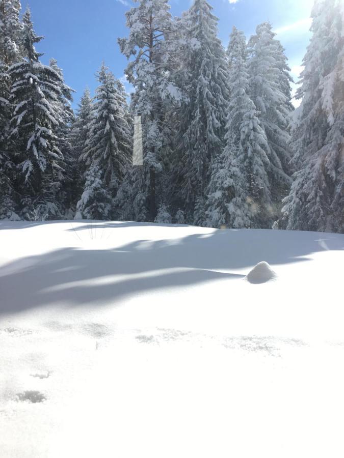 Borovets Chalets Экстерьер фото