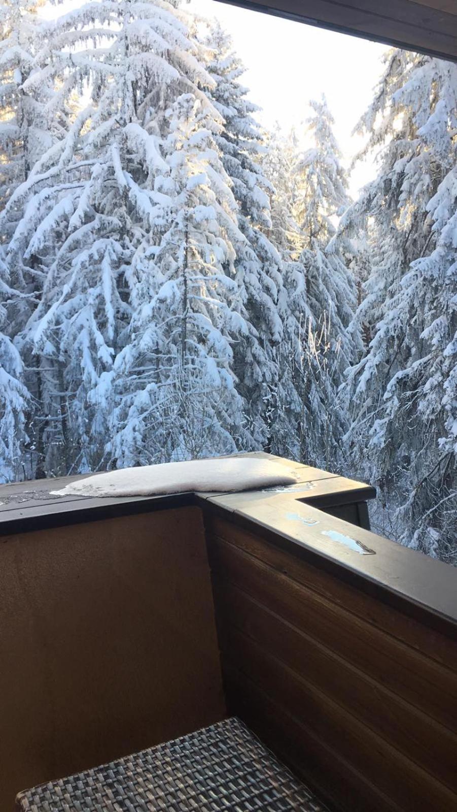 Borovets Chalets Экстерьер фото