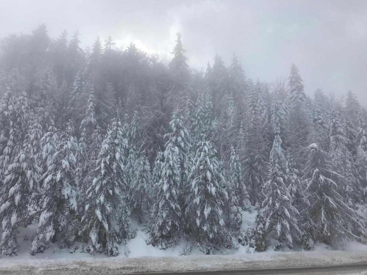 Borovets Chalets Экстерьер фото