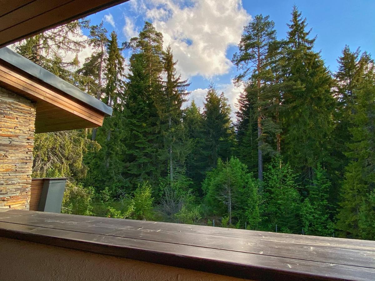 Borovets Chalets Экстерьер фото